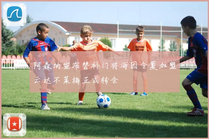 阿森纳宣布替补门将海因今夏加盟云达不莱梅正式转会